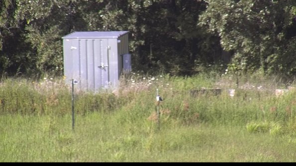 capture-2-23-08-08_17-35-18-61