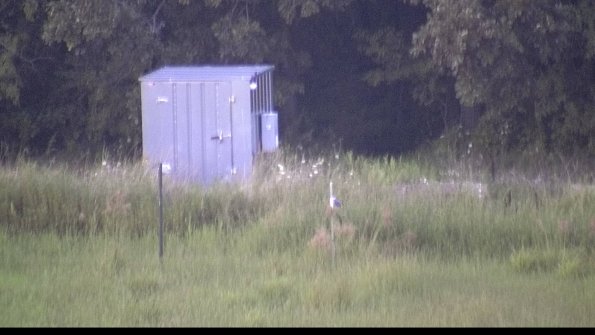 capture-2-23-08-08_20-54-38-81