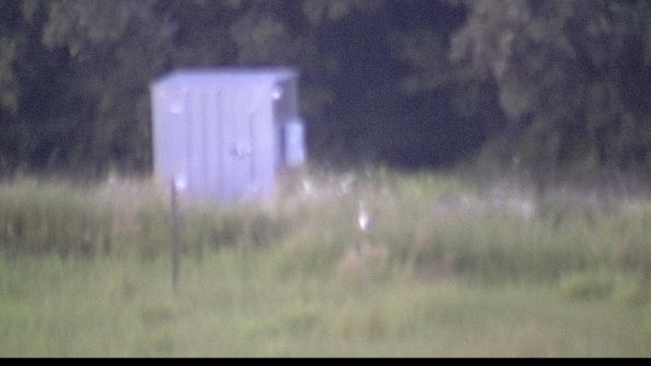 capture-2-23-08-08_20-58-58-54