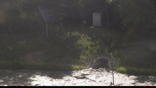 capture-3-23-08-08_10-08-54-51