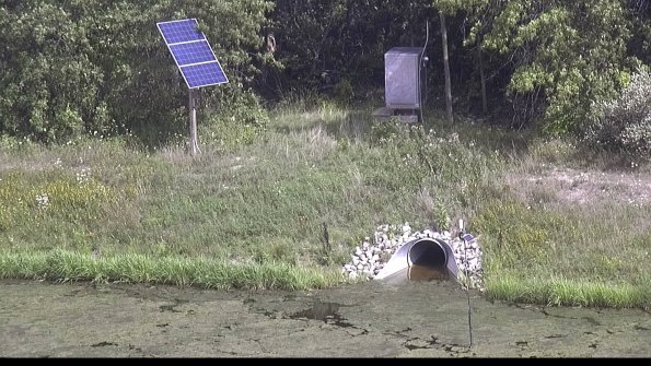 capture-3-23-08-08_16-08-01-55