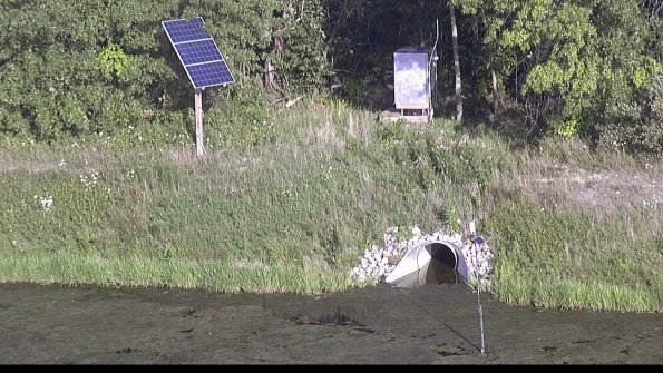 capture-3-23-08-08_18-53-26-61