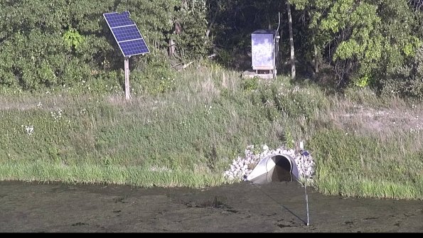 capture-3-23-08-08_18-55-37-01