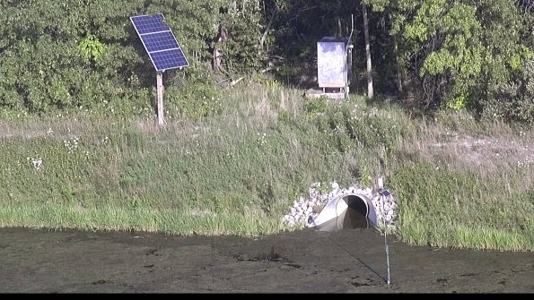 capture-3-23-08-08_18-59-57-07