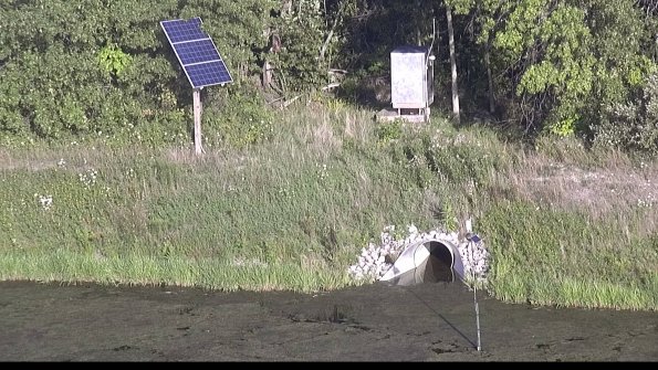 capture-3-23-08-08_19-10-46-42