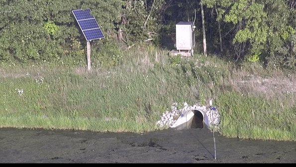 capture-3-23-08-08_19-25-56-84