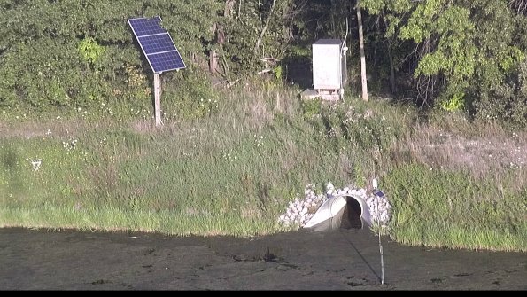 capture-3-23-08-08_19-36-46-49