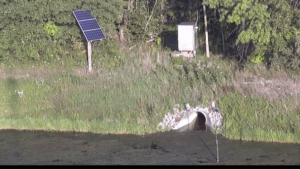 capture-3-23-08-08_19-38-56-85