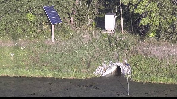 capture-3-23-08-08_19-43-16-85