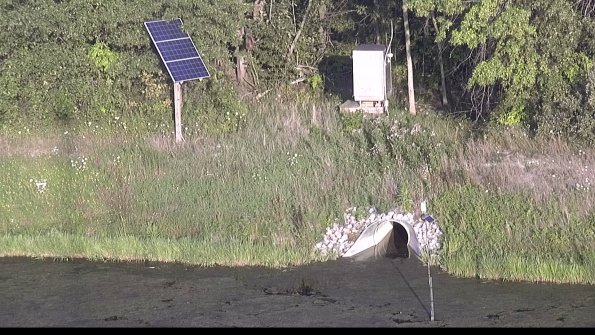 capture-3-23-08-08_19-45-26-81