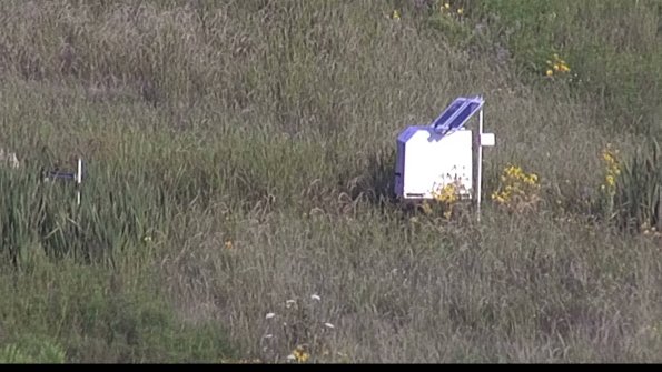 capture-4-23-08-08_08-01-15-16