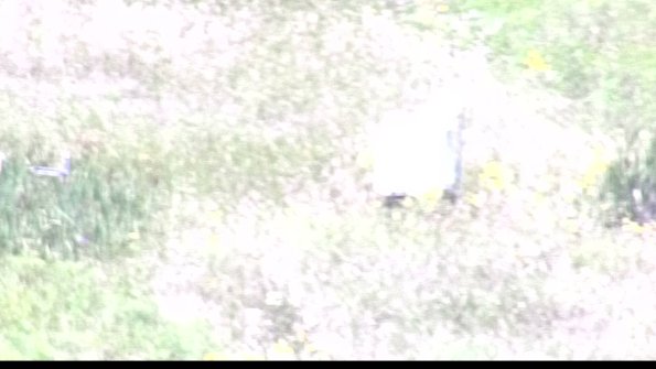 capture-4-23-08-08_13-12-40-58