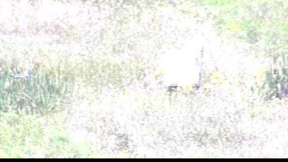 capture-4-23-08-08_13-14-50-41