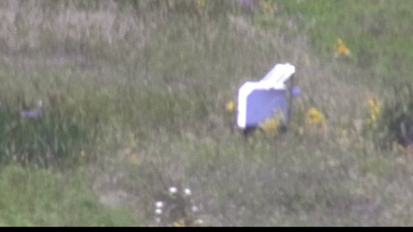 capture-4-23-08-08_13-56-01-62