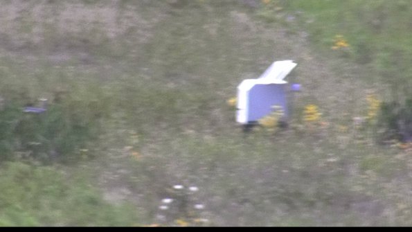 capture-4-23-08-08_14-02-31-68