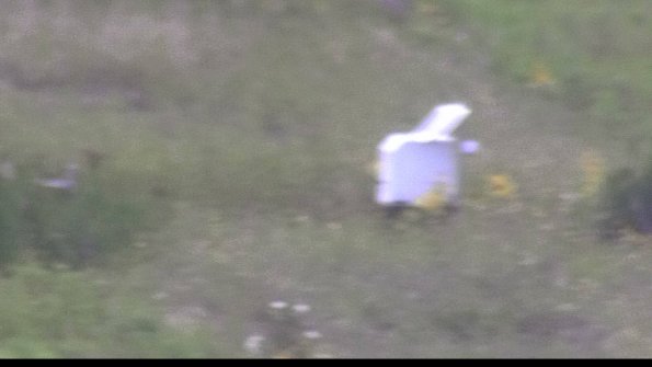 capture-4-23-08-08_15-42-11-49