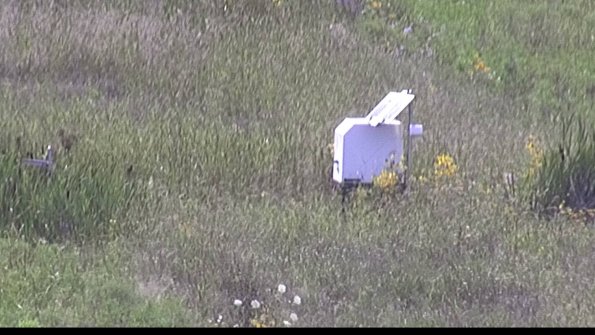 capture-4-23-08-08_16-14-41-75