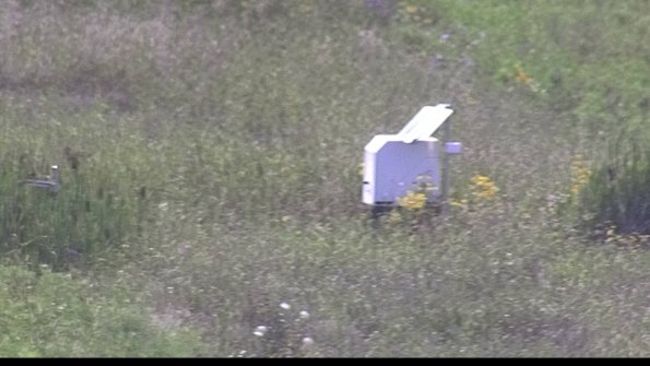 capture-4-23-08-08_16-29-51-53