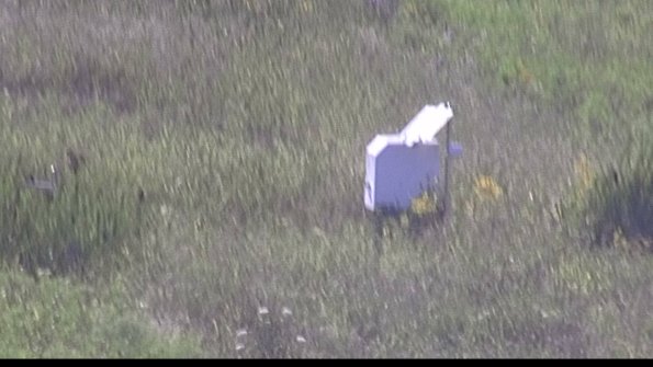 capture-4-23-08-08_17-35-37-69