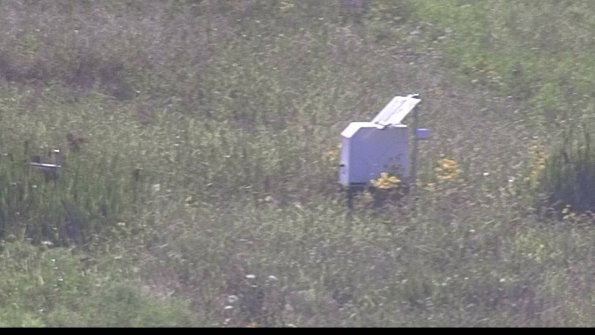 capture-4-23-08-08_18-08-07-71