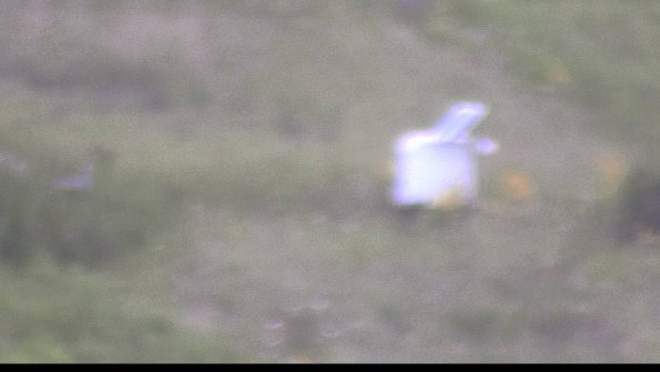 capture-4-23-08-08_20-33-17-56