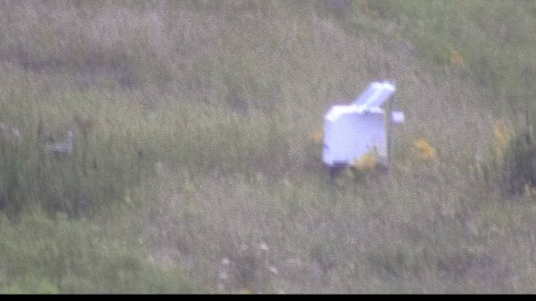 capture-4-23-08-08_20-57-08-46