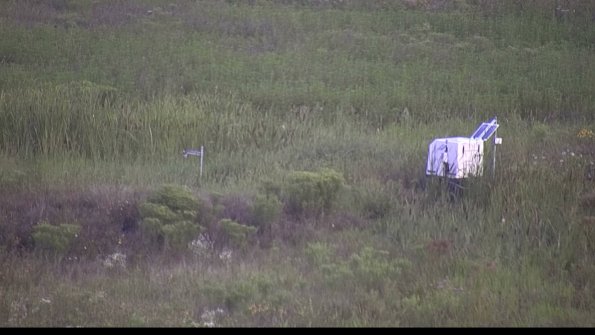 capture-5-23-08-08_07-07-15-28