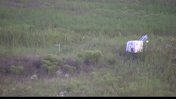 capture-5-23-08-08_07-13-44-50