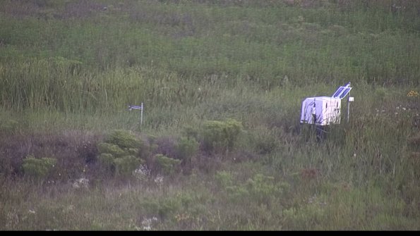 capture-5-23-08-08_07-18-05-16