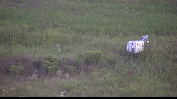 capture-5-23-08-08_07-20-14-39