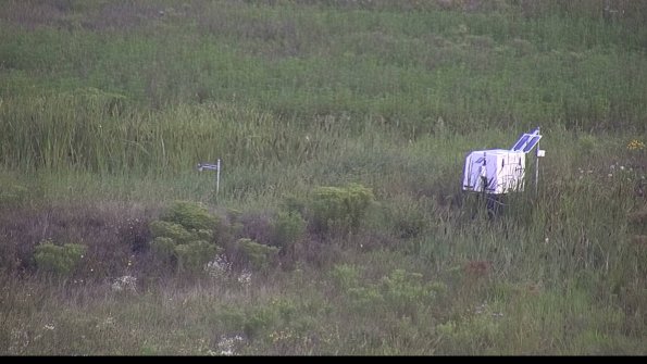 capture-5-23-08-08_07-26-44-48