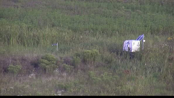 capture-5-23-08-08_08-05-45-44