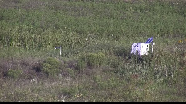 capture-5-23-08-08_08-18-45-02