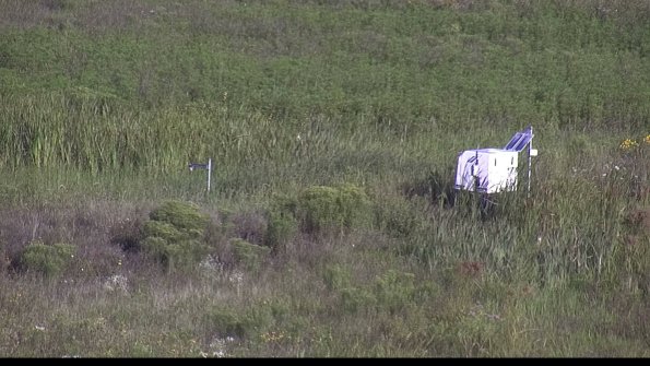 capture-5-23-08-08_08-40-25-23