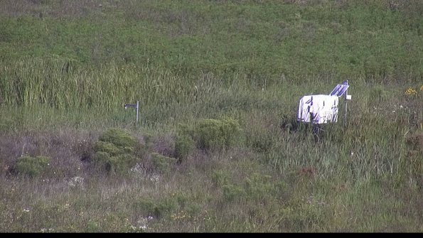 capture-5-23-08-08_09-25-55-21