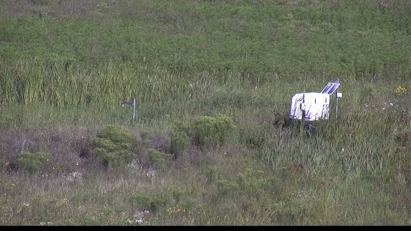 capture-5-23-08-08_09-28-04-50