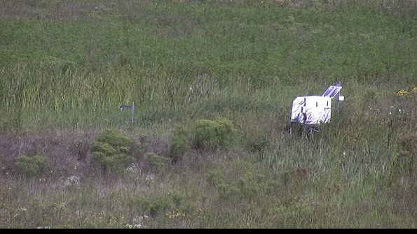 capture-5-23-08-08_10-33-04-56