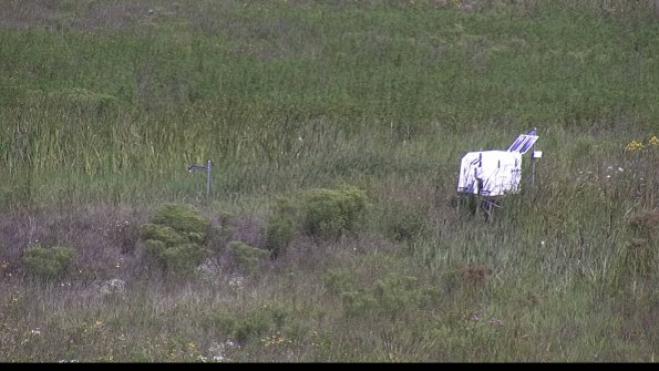 capture-5-23-08-08_10-46-05-58