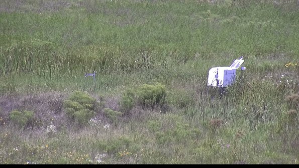 capture-5-23-08-08_12-55-29-98