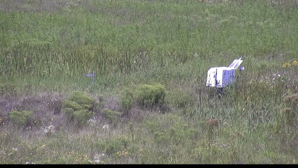 capture-5-23-08-08_13-04-10-17