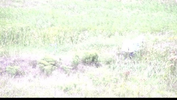 capture-5-23-08-08_13-10-39-72