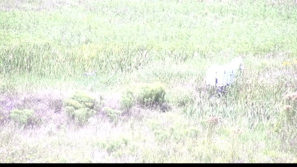 capture-5-23-08-08_13-38-49-82