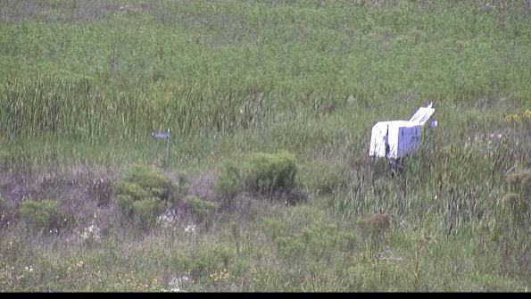 capture-5-23-08-08_13-41-01-22