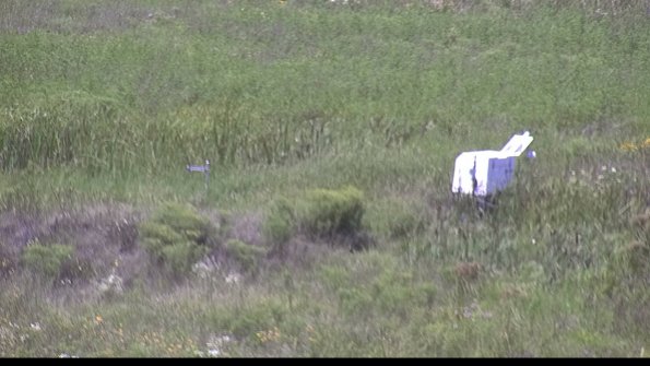 capture-5-23-08-08_14-00-31-19