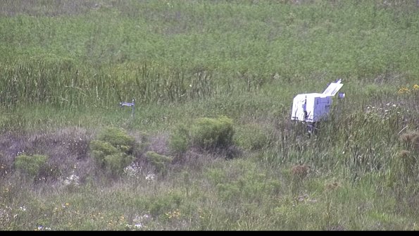 capture-5-23-08-08_14-15-41-11