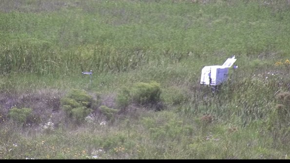 capture-5-23-08-08_14-20-01-00