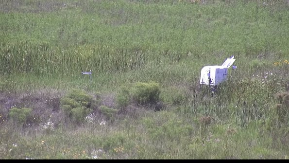 capture-5-23-08-08_14-28-41-09