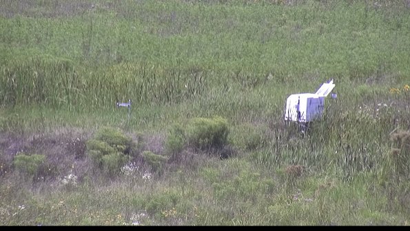 capture-5-23-08-08_14-30-51-26