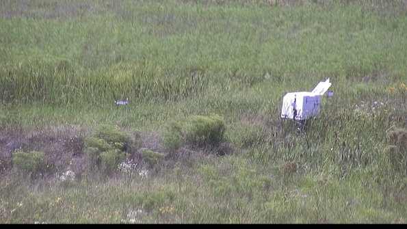 capture-5-23-08-08_15-01-11-19