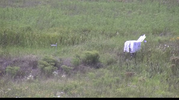 capture-5-23-08-08_15-38-00-90